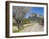 Cyclists on Country Road, Alaro, Mallorca, Balearic Islands, Spain, Europe-Ruth Tomlinson-Framed Photographic Print