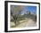 Cyclists on Country Road, Alaro, Mallorca, Balearic Islands, Spain, Europe-Ruth Tomlinson-Framed Photographic Print