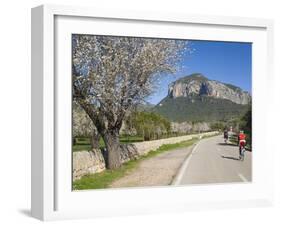 Cyclists on Country Road, Alaro, Mallorca, Balearic Islands, Spain, Europe-Ruth Tomlinson-Framed Photographic Print