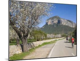 Cyclists on Country Road, Alaro, Mallorca, Balearic Islands, Spain, Europe-Ruth Tomlinson-Mounted Photographic Print