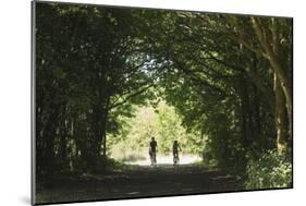 Cyclists Tunnel-Charles Bowman-Mounted Photographic Print