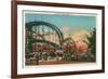 Cyclone, Coney Island, New York City-null-Framed Premium Giclee Print