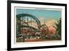 Cyclone, Coney Island, New York City-null-Framed Premium Giclee Print