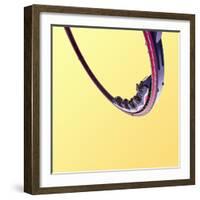 Cyclone Copy-Matt Crump-Framed Photographic Print