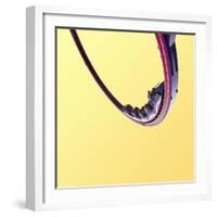 Cyclone Copy-Matt Crump-Framed Photographic Print