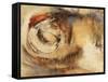 Cyclops Dream-Farrell Douglass-Framed Stretched Canvas