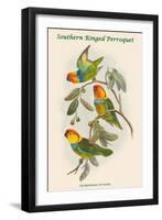 Cyclopsittacus Cervicalis - Southern Ringed Perroquet-John Gould-Framed Art Print