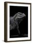 Cyclura Cornuta (Rhinoceros Iguana)-Paul Starosta-Framed Photographic Print