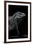 Cyclura Cornuta (Rhinoceros Iguana)-Paul Starosta-Framed Photographic Print