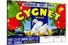 Cygnet Tasmanian Fancy Apples-null-Stretched Canvas