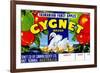 Cygnet Tasmanian Fancy Apples-null-Framed Premium Giclee Print