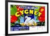 Cygnet Tasmanian Fancy Apples-null-Framed Premium Giclee Print