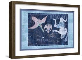 Cygnus, Vultur and Hercules-null-Framed Art Print