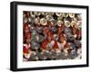 Cymbals Performance at Chinese New Year Celebration, Beijing, China-Keren Su-Framed Photographic Print