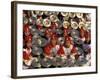 Cymbals Performance at Chinese New Year Celebration, Beijing, China-Keren Su-Framed Photographic Print