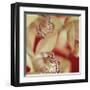 Cymbidium Flow I-Jane-Ann Butler-Framed Giclee Print