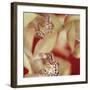 Cymbidium Flow I-Jane-Ann Butler-Framed Giclee Print