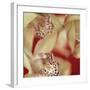 Cymbidium Flow I-Jane-Ann Butler-Framed Giclee Print