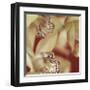 Cymbidium Flow I-Jane-Ann Butler-Framed Giclee Print