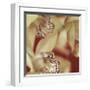 Cymbidium Flow I-Jane-Ann Butler-Framed Giclee Print