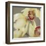 Cymbidium Flow II-Jane-Ann Butler-Framed Giclee Print