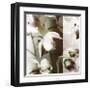 Cymbidium Orchid I-Jane Ann Butler-Framed Giclee Print