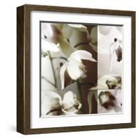 Cymbidium Orchid I-Jane Ann Butler-Framed Giclee Print