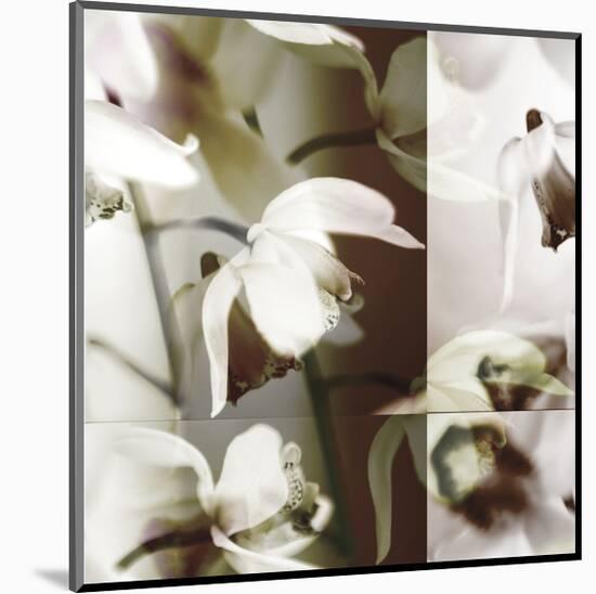 Cymbidium Orchid I-Jane Ann Butler-Mounted Giclee Print