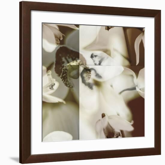 Cymbidium Orchid II-Jane Ann Butler-Framed Giclee Print