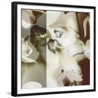Cymbidium Orchid II-Jane Ann Butler-Framed Giclee Print