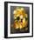 Cymbidium Orchid Yellow-Igor Maloratsky-Framed Art Print