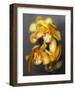 Cymbidium Orchid Yellow-Igor Maloratsky-Framed Art Print