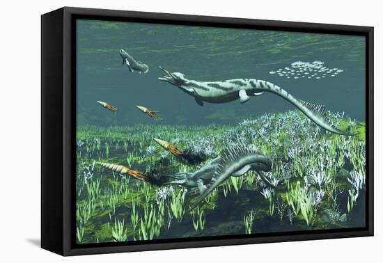 Cymbospondylus, a Very Large and Early Triassic Ichthyosaur-Stocktrek Images-Framed Stretched Canvas