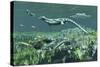 Cymbospondylus, a Very Large and Early Triassic Ichthyosaur-Stocktrek Images-Stretched Canvas