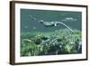 Cymbospondylus, a Very Large and Early Triassic Ichthyosaur-Stocktrek Images-Framed Art Print