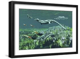 Cymbospondylus, a Very Large and Early Triassic Ichthyosaur-Stocktrek Images-Framed Art Print