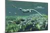 Cymbospondylus, a Very Large and Early Triassic Ichthyosaur-Stocktrek Images-Mounted Art Print