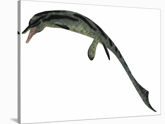 Cymbospondylus, an Early Ichthyosaur from the Triassic Period-null-Stretched Canvas
