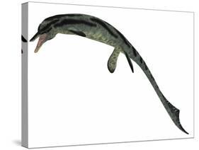 Cymbospondylus, an Early Ichthyosaur from the Triassic Period-null-Stretched Canvas