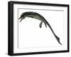 Cymbospondylus, an Early Ichthyosaur from the Triassic Period-null-Framed Art Print