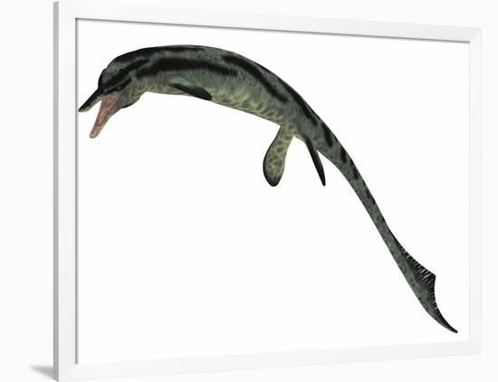Cymbospondylus, an Early Ichthyosaur from the Triassic Period-null-Framed Art Print