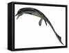 Cymbospondylus, an Early Ichthyosaur from the Triassic Period-null-Framed Stretched Canvas