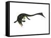 Cymbospondylus Ichthyosaur from the Triassic Period-Stocktrek Images-Framed Stretched Canvas