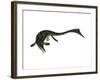 Cymbospondylus Ichthyosaur from the Triassic Period-Stocktrek Images-Framed Art Print