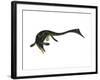 Cymbospondylus Ichthyosaur from the Triassic Period-Stocktrek Images-Framed Art Print