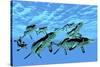 Cymbospondylus Ichthyosaurs Swim Together in a Pod Searching for Prey-Stocktrek Images-Stretched Canvas