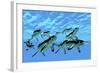 Cymbospondylus Ichthyosaurs Swim Together in a Pod Searching for Prey-Stocktrek Images-Framed Art Print