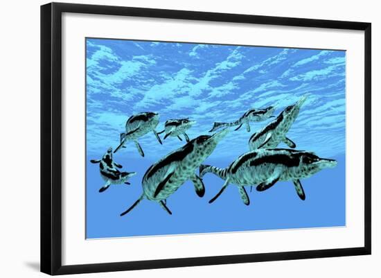 Cymbospondylus Ichthyosaurs Swim Together in a Pod Searching for Prey-Stocktrek Images-Framed Art Print