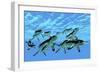 Cymbospondylus Ichthyosaurs Swim Together in a Pod Searching for Prey-Stocktrek Images-Framed Premium Giclee Print