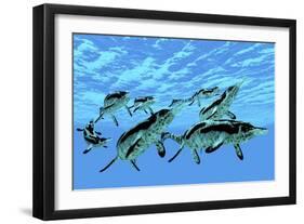 Cymbospondylus Ichthyosaurs Swim Together in a Pod Searching for Prey-Stocktrek Images-Framed Art Print